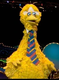 Big Bird Live