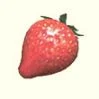 Thumb sunseedberry