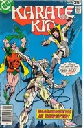 Karate Kid 14