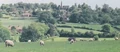 Idehill3.jpg