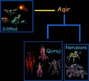 Evolution of the aqir
