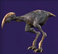 Gravefeather