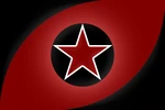 ICSN flag