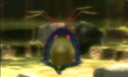 32bumblingsnitchbug
