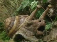 The Snail
