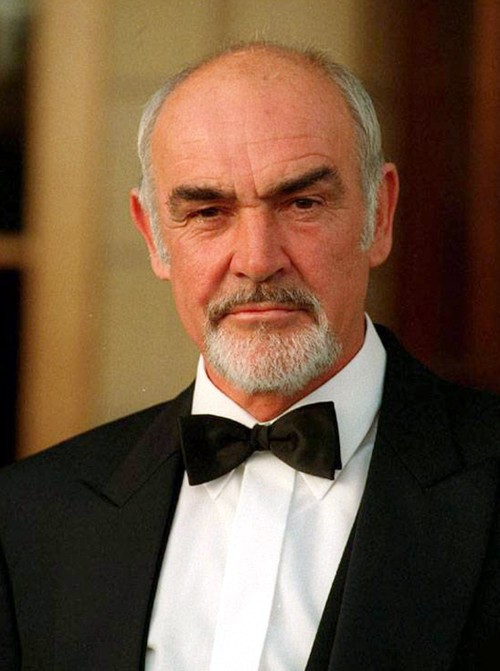 http://images1.wikia.nocookie.net/__cb20060425224419/indianajones/images/7/70/SirSeanConnery.jpg