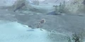 AlzocSurface.jpg
