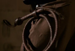 Whip.jpg