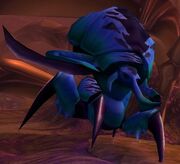 Zora
