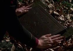 Chakotays grave