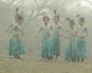 Peacockdancers