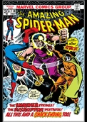 Amazing Spider-Man Vol 1 118