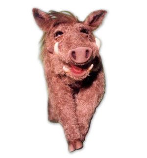 Warthog