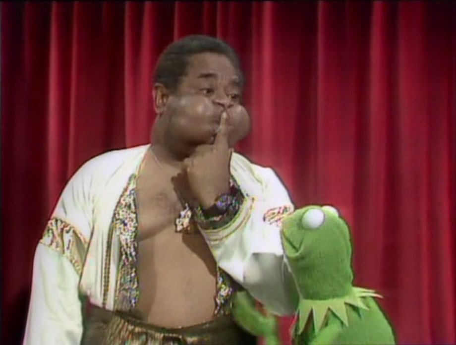 Celeb.dizzy