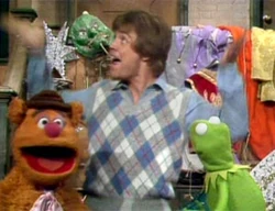 Hamillfrog