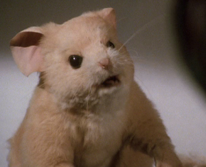 Lukeasmouse