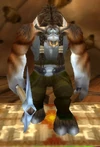 Kurm Stonehoof