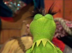 Eyelids.kermit