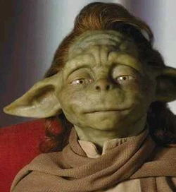 Yaddle.jpg