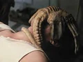 Facehugger1.jpg