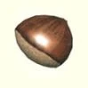 Thumb seedofgreed
