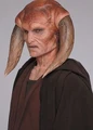 SaeseeTiin.jpg