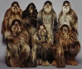Wookiegruppe.jpg