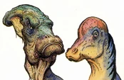 Dino0001