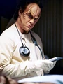 Phlox.jpg