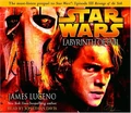 LabyrinthEvil CD.jpg