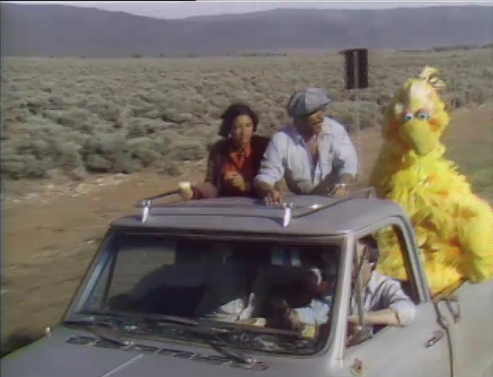 Newmexico810