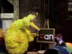 Bigbirdanpoem