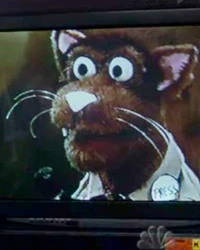 Edwardrmeow