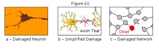 Brain repair figure ii
