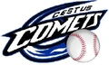 Cestus comets logo.jpg