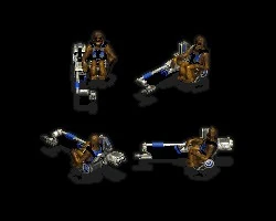 WookieeHummBike.jpg