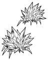 Crystal barnacle.jpg