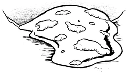 Carnivorous mold.jpg