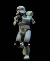 Dunkle Truppe.jpg
