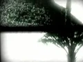 7ti segment 320x240.jpg