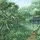Raceconflicts woodsman research.jpg (1,016 B)