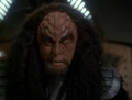Martok 2375.jpg