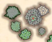 Map forbiddenislands