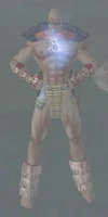 Shaman1