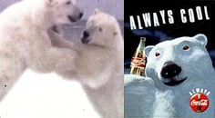 PolarBears1.jpg
