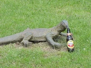 BeerLizard