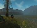 Lordamere Lake.jpg