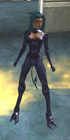 Echidna 01
