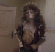 Episode 101: No Fraggle Is an Island