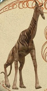 Zeer